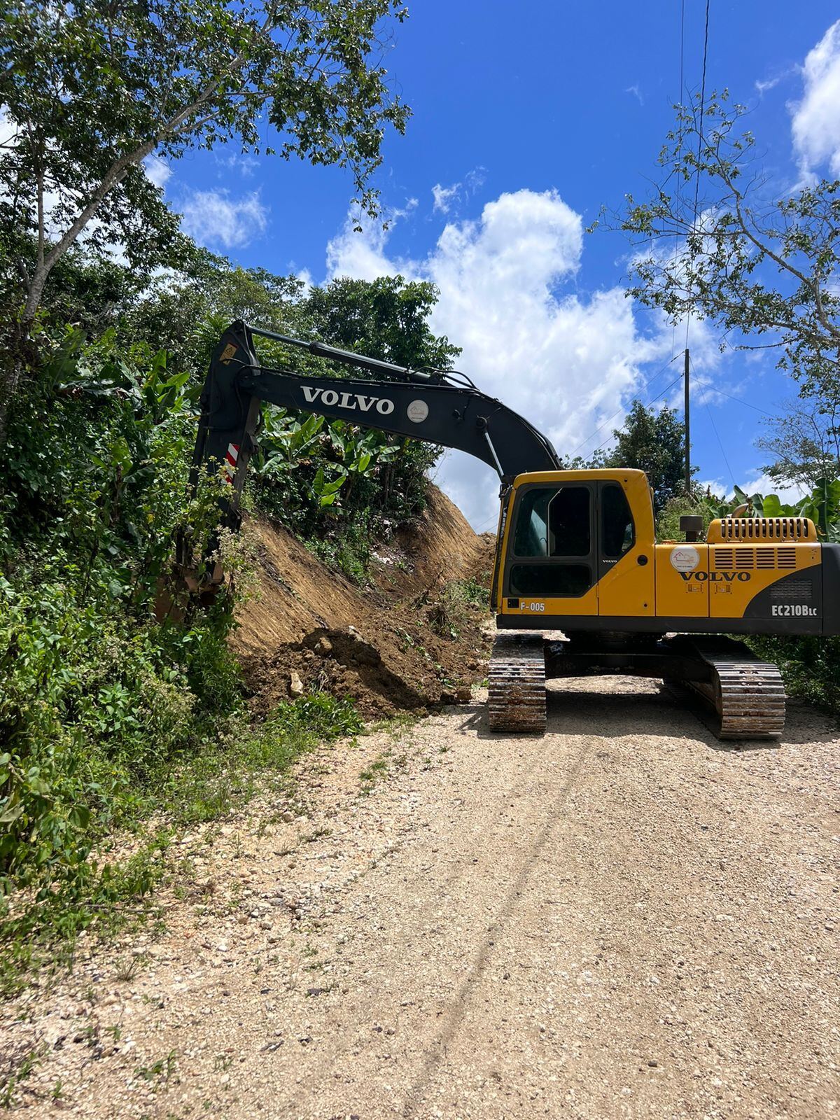 Volvo EC290 despejando vegetación